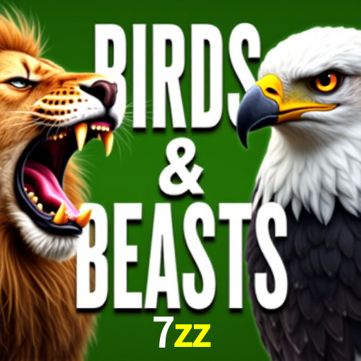 7zz